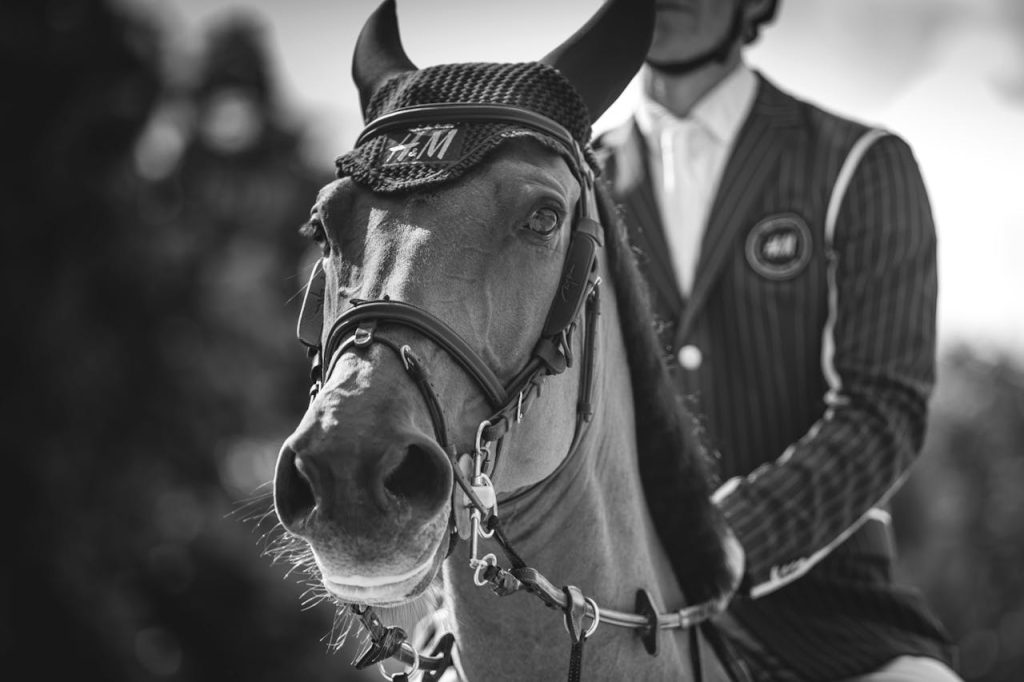 A stylish black and white portrait of a horse with a rider in formal attire, capturing elegance and harmony.