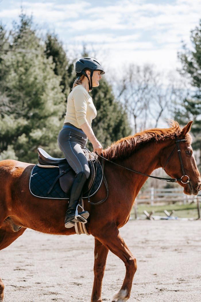 Woman wearing a helmet rides a brown horse outdoors, surrounded by trees on a sunny day.