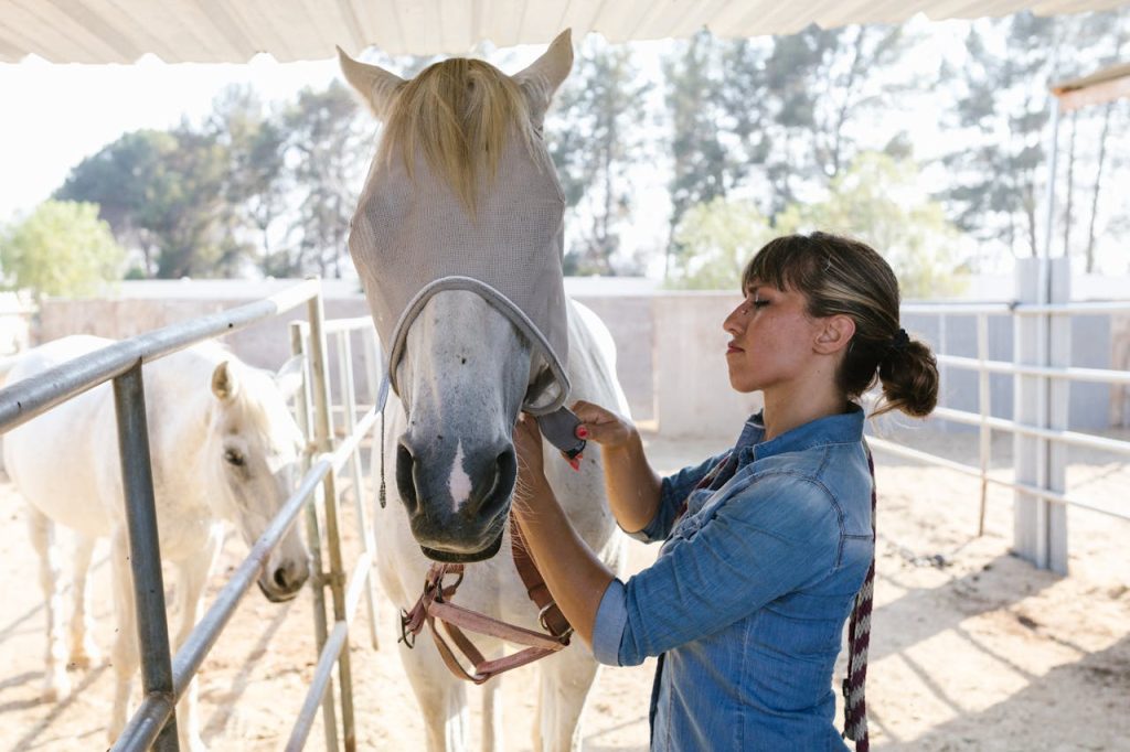 A woman wearing a denim shirt tends to a white horse with an anti-fly mask in a stable.