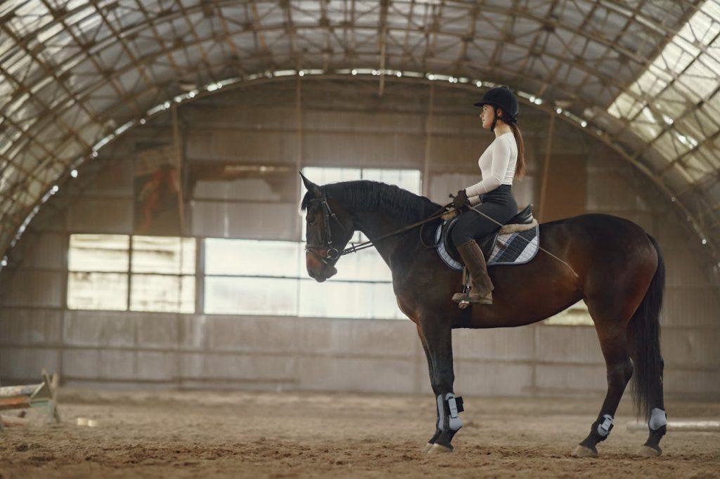Woman in a riding hall training on a horse. Side view illustrating equestrian skills.